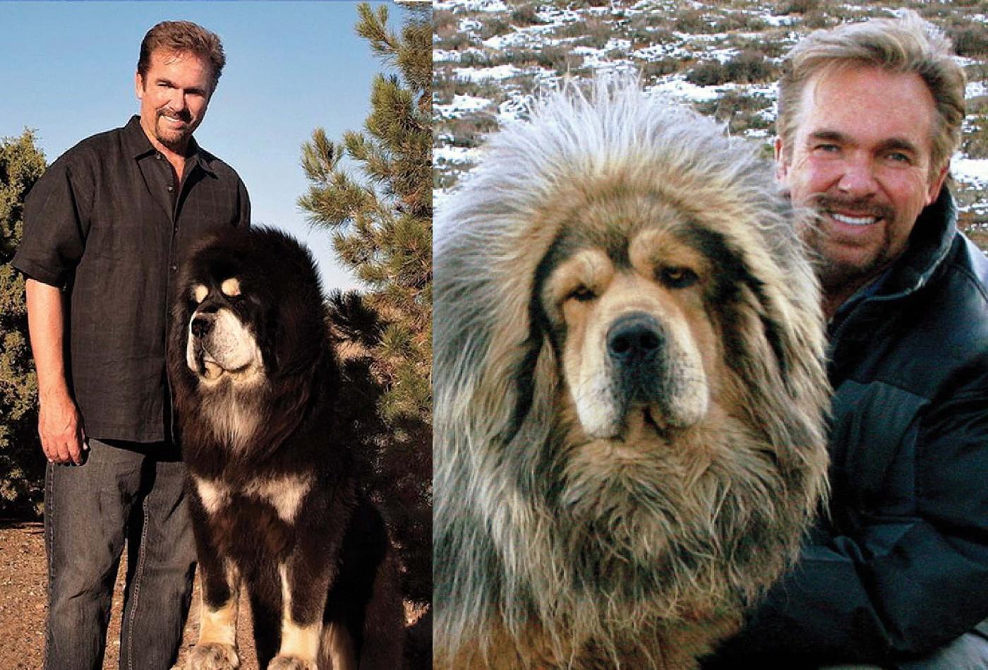 Ada Yang Bergelar Sir Inilah Lima Hewan Peliharaan Termahal Di